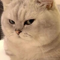 おはようございます🌀