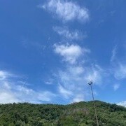 まだまだー🌳