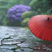 到着しました
