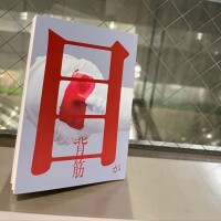目が