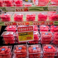 おはようございます