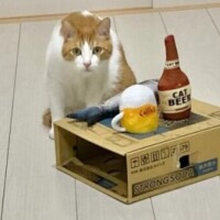 お休み1日目😸