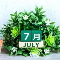 7月も宜しくお願い致します🙇✨
