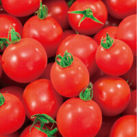 ミニトマト🍅