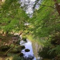 今日はおやすみでお出かけしたよ