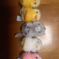 ぴよりーな🐥🎵