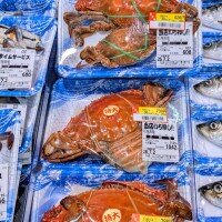 おはようございます