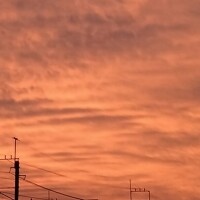外の方が涼しい🌬️