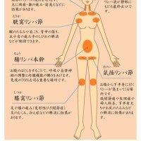 こんにちは〜🎀