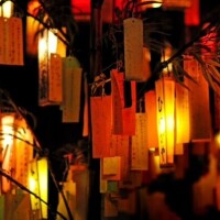 願いは何ですか