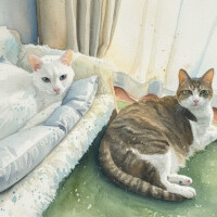 出勤です