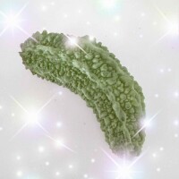 bitter melon*°