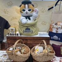 今日の晩御飯は何にしよ(˶ˆ艸ˆ˵ )ﾌﾌﾌ