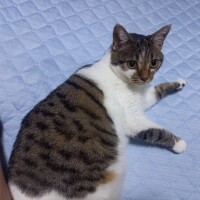 う～ん🙀