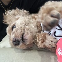連休です♪