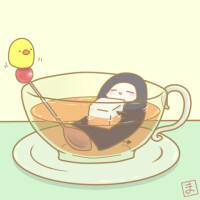 ☘️おはようございます☘️