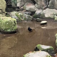久しぶりの