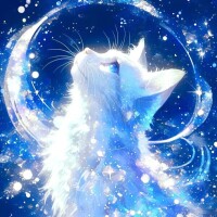 ⭐️今日も1日お疲れ様です⭐️