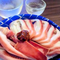 今夜はこれ♪