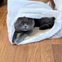 出勤です