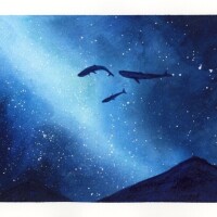 ⭐️本日もありがとうございました⭐️