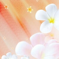 15日㈬ 夕方から出勤致します