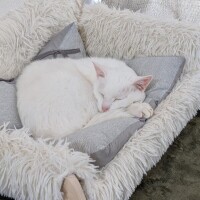 それでは…