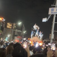 もうすっかり夏ですね(>ㅿ<;;)
