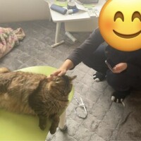絶対痩せてやる〜❗️