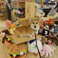本日の出勤は。。
