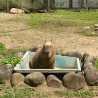 本日出勤🎀