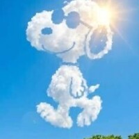 水曜日お休みです🙏
