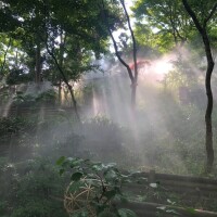 雲海☁