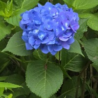 お疲れ様でした✨
