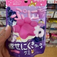 今日も頑張るよ〜
