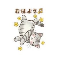 おはようございます☀
