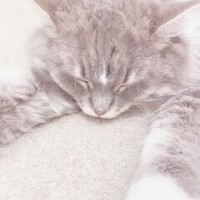 本日出勤🎀