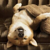 暑い中お疲れさまでした✨