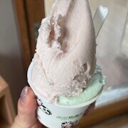 富田