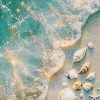 月1メンテ日✨