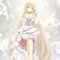 (*,,˃ ᵕ ˂ )✰*｡
