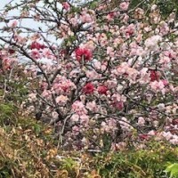 おはようございます☀️