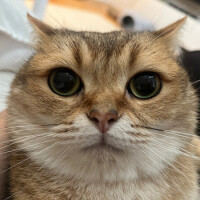 おなかすいたー😩