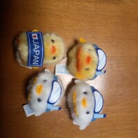 ぴよりーな🐥