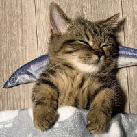 おはようございます☁️