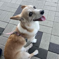 あと少し🚗