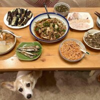 お腹いっぱ〜い🍴