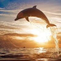 ⭐️本日もありがとうございました⭐️