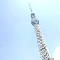 夕方 会いに来てね✨