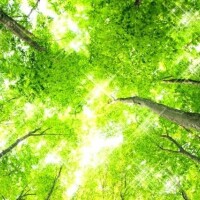 早番出勤です